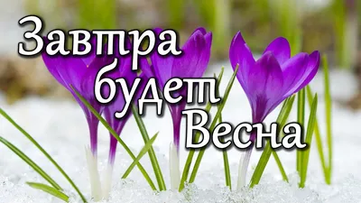 Ну, а завтра весна! (Инна Стекачева) / Стихи.ру