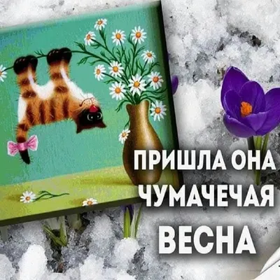 Завтра - весна. С помощью солнца природа незаметно будет менять зимние  одежды на летние. :: Алекс Аро Аро – Социальная сеть ФотоКто