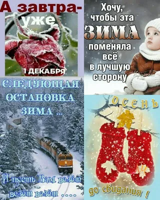 Завтра уже зима ❄️ А сегодня последний день осени … Хотя у нас уже недели  две как снег и мороз крепчает … За что любишь… | Instagram