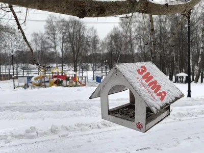 Завтра будет настоящая зима... - АЗЕРТАДЖ