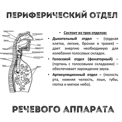 Эндоскопия гортани у детей | Onni