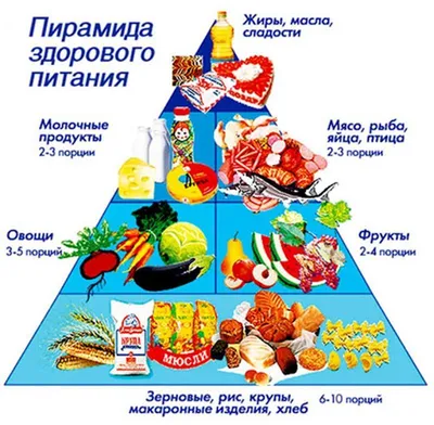 Бюджетное правильное питание: меню на неделю, выбор продуктов для ПП -  Vansiton