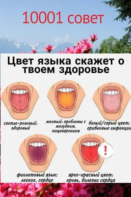 Что говорит состояние языка о здоровье внутренних органов — 9 симптомов  опасных болезней - Чемпионат