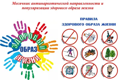 Управление образования муниципального образования городской округ  «Охинский» | Формирование здорового образа жизни
