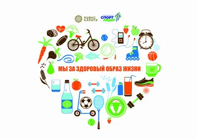 Healthy lifestyle. Здоровый образ жизни :: Петрозаводский государственный  университет