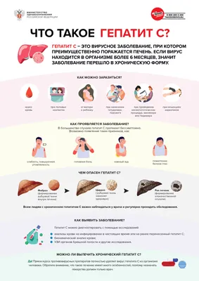 Что означает «здоровый образ жизни» для москвичей в цифрах и фактах