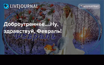 Здравствуй, Февраль! Пусть будет побольше солнечных дней, несмотря на  морозы! ~ Открытка (плейкаст)