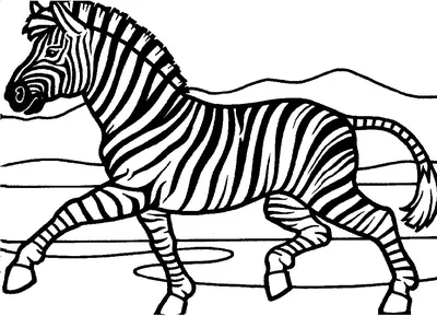 Рисунок морда зебры - 67 фото