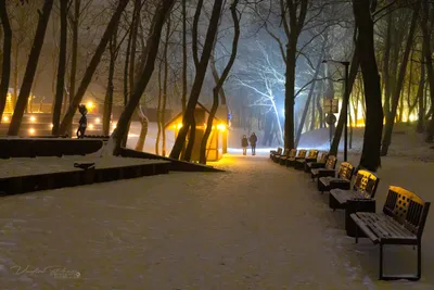 Зеленоградск украсили ко Дню всех влюбленных. Фоторепортаж — РБК