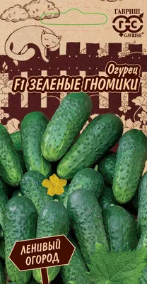 Пион Древовидный Зеленые Бобы – купить саженцы в интернет-магазине Лафа с  доставкой по Москве, Московской области и России