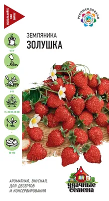 Характерные отличия клубники и земляники - GreenMarket