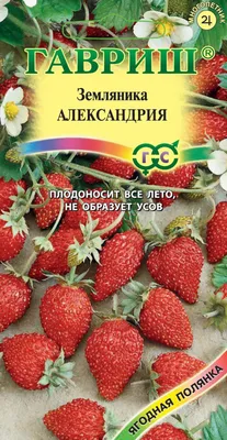 Купить саженцы Земляника садовая Гармония — от НПО Сады Росcии