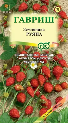 Земляника (клубника) 'Хонеойе' купить по цене 75,00 руб. руб. в Москве в  питомнике растений Южный