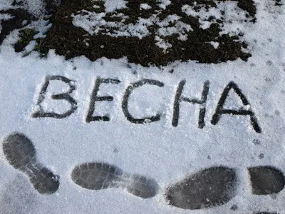 Ждем весну