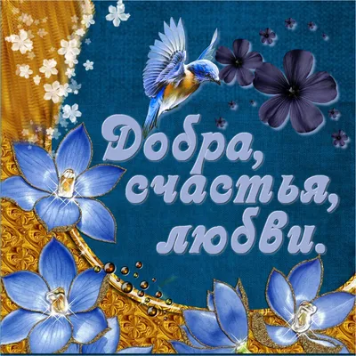 Патриотическая открытка \"Желаю счастья!\" №1082518 - купить в Украине на  Crafta.ua