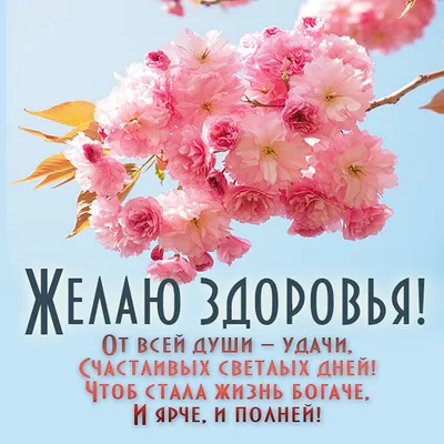 С днем рождения, Мария Ларичева! — Вопрос №453927 на форуме — Бухонлайн