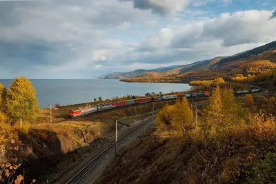 Железная дорога Veld Co Серебряный путь 36 деталей с воротами и семафором  купить по цене 2700 ₽ в интернет-магазине Детский мир