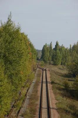 File:Российская железная дорога (Russian railway).jpg - Wikimedia Commons