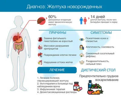 Физиологическая желтуха новорожденных - роддом \"Лелека\"