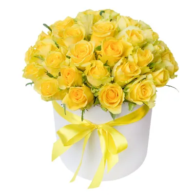 Купить обои Есения, желтые цветы золото черный фон - Обойная фабрика  «Континент»