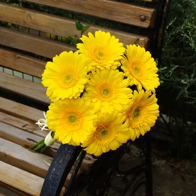 Цветы в коробке \"Желтые Розы\" в Дербенте - Купить с доставкой от 2890 руб.  | Интернет-магазин «Люблю цветы»