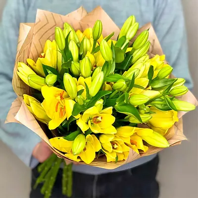 Фотообои Желтые тюльпаны, рисунок на стену. Купить фотообои Желтые  тюльпаны, рисунок в интернет-магазине WallArt
