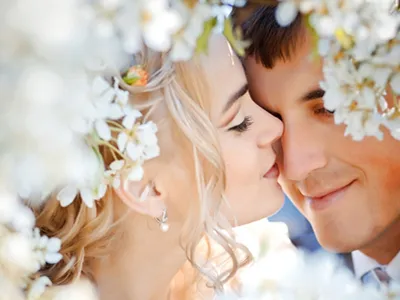 Свадебная фотография, жених и невеста в любви, вектор Stock-Illustration |  Adobe Stock