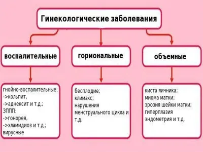 ZonGu.He Гинекологические заболевания бессоннице вялость 1 уп(30 шт)