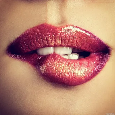 Красивые женские алые губы Stock Vector | Adobe Stock