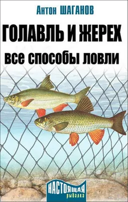 Рекомендации по активной ловле жереха на Ахтубе, видео и фото - база отдыха  Трёхречье (Ахтуба, Харабали)