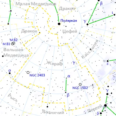 День жирафа | Пикабу