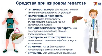 Жировой гепатоз печени. Чем он опасен и как его избежать?. Сеть медицинских  центров и МЦ «Здоровье» в Москве.