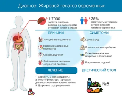 Жировой гепатоз - причины возникновения, симптомы и лечение