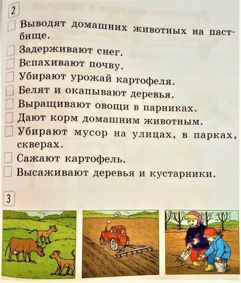 Живой календарь: как животные могут предсказать скорое наступление весны -  Лента новостей Крыма