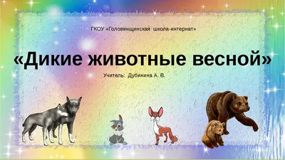 МБДОУ № 3 Ласточка\".