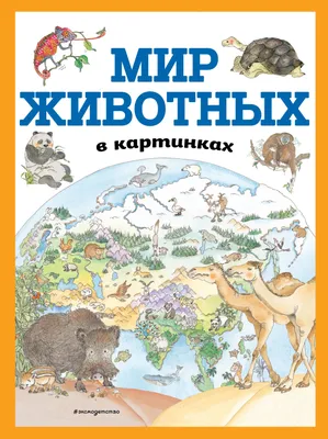 Мир животных в картинках (Т. Дегтярёва) - купить книгу с доставкой в  интернет-магазине «Читай-город». ISBN: 978-5-04-108774-6