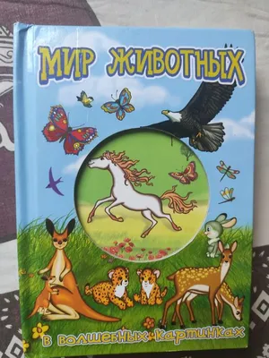 Книга Мир животных: Домашние и дикие животные средней полосы. Домашние и -  купить книги по обучению и развитию детей в интернет-магазинах, цены на  Мегамаркет | 0385