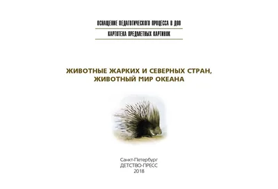 ЖИВОТНЫЙ И РАСТИТЕЛЬНЫЙ МИР БЕЛАРУСИ. КАРТА ДЛЯ ДЕТЕЙ купить в Минске, цена