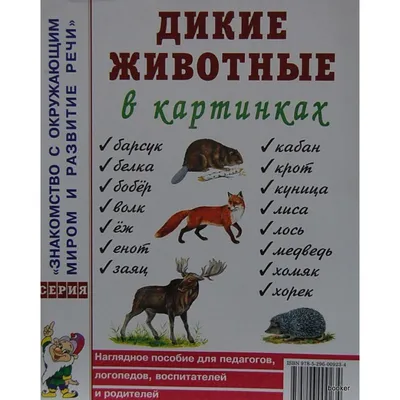 Картинки животный мир планеты (60 фото) » Картинки и статусы про окружающий  мир вокруг