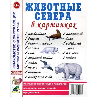 Книга Большой атлас животных в картинках для малышей купить по выгодной  цене в Минске, доставка почтой по Беларуси