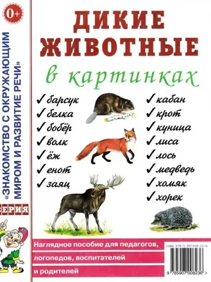 Дошкольное развитие ребенка: как выбрать и использовать картинки животных  для детей | В мире детей | Дзен