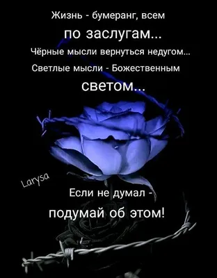 Жизнь - бумеранг. К тому и ведется: Что отдаете, то и вернется. То, что  посеешь — то и пожнешь, Ложью пробьется Ваша же ложь. Каждый… | Instagram