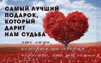 1,884 отметок «Нравится», 13 комментариев — Статусы Со смыслом (@citativk)  в Instagram: «Мы всегда стараемся для Вас. П… | Жизненная мотивация, Слова,  Мудрые цитаты