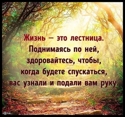 Мудрый правильно распорядится своей жизнью (Халида Шариф) / Стихи.ру