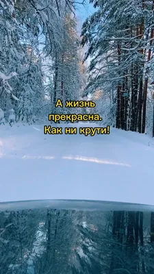 Жизнь прекрасна.... - Жизнь прекрасна. Life is Beautiful.