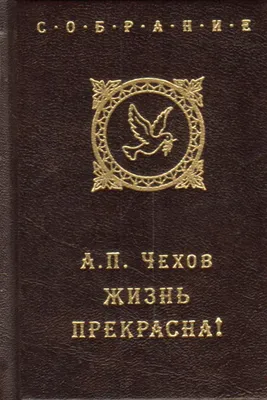 Жизнь прекрасна еще и потому, что можно путешествовать. Письма к другу  Ковалев Б. К. ISBN 978-5-7038-4919-4 - ЭБС Айбукс.ру