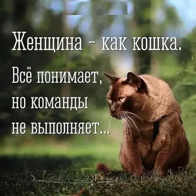 ПРИКОЛАНЛИЯ - юмор и приколы в жизни и бизнесе - #мама #женщина #девушка  #любовь | Facebook