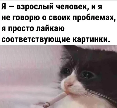 Прикольные картинки в субботу и замужнюю женщину дома всегда ждут | Mixnews