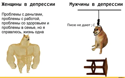 Лучшие короткие анекдоты: более 50 шуток на разные темы