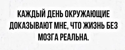 Жизнь со смыслом | Аврора Х | Дзен